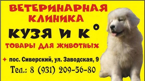 "КУЗЯ и К", ВЕТЕРИНАРНЫЕ КЛИНИКИ в СИВЕРСКОМ, ВЫРИЦЕ и КОММУНАРЕ.