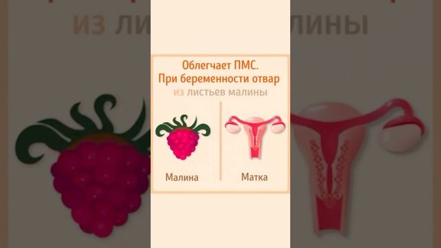 Продукты похожие на части нашего тела