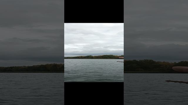 уже на воде мотыра Липецк