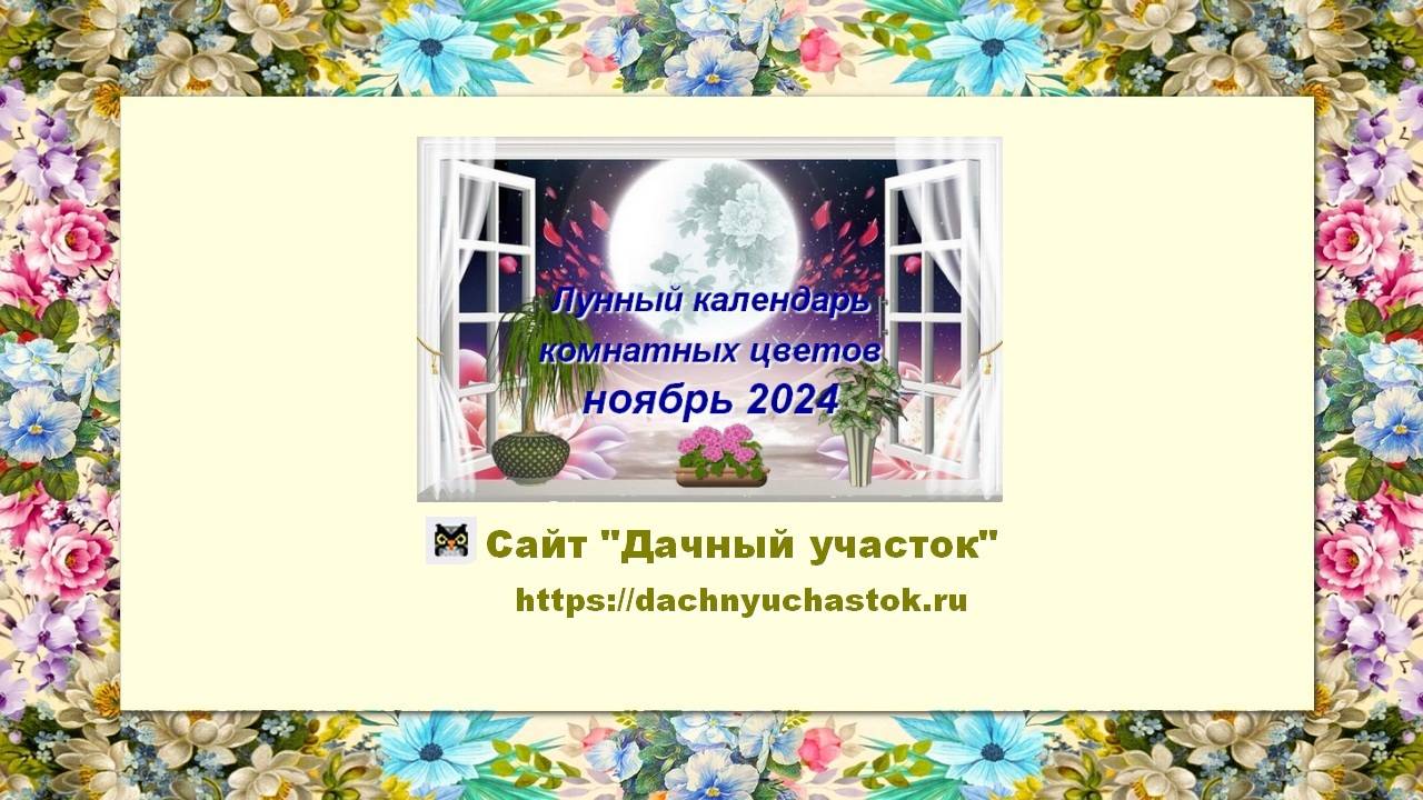 Лунный календарь комнатного цветовода на ноябрь 2024 года