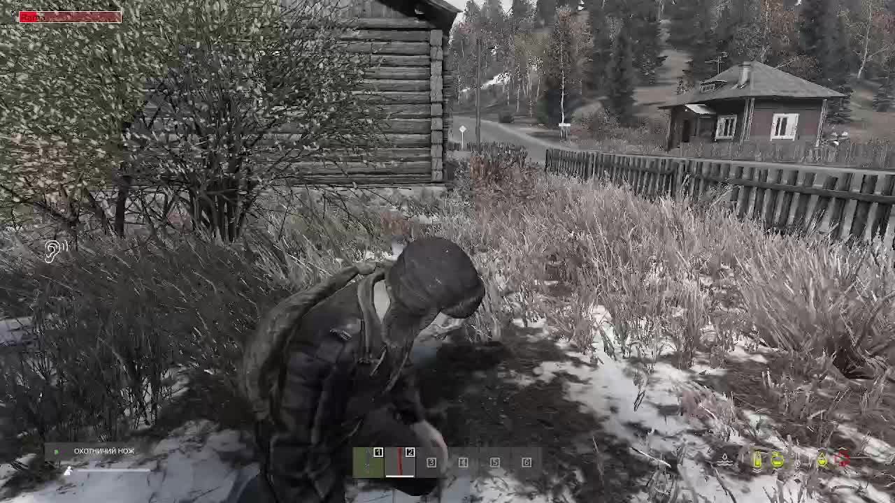 DAYZ