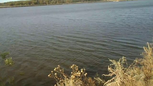 Городской ставок в Краснодоне