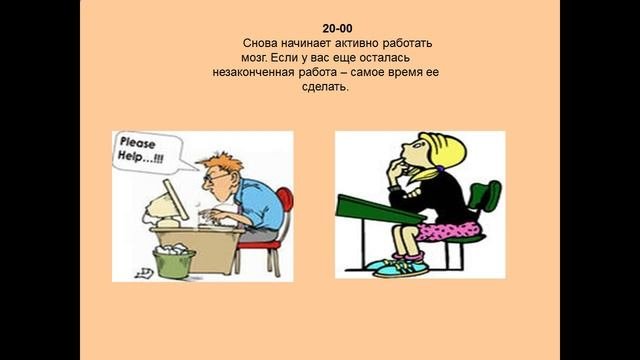Биологические ритмы организма человека