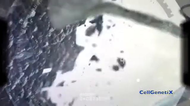 Клеточное старение. Теломеры. СеллГенетикс.