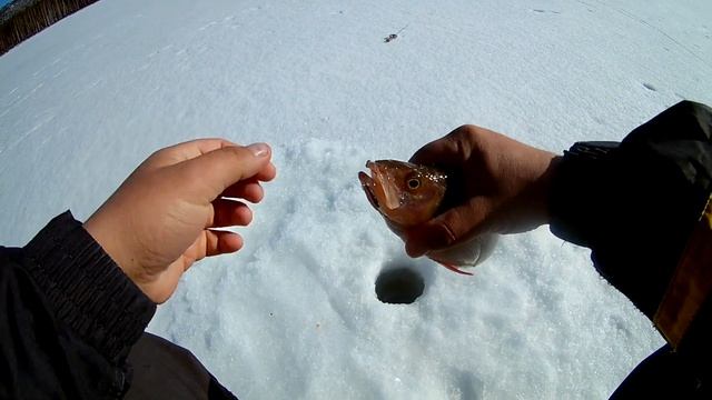 Безнасадка. Разведка новых мест.