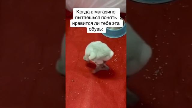 обувь