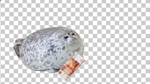 История про Саню 😂