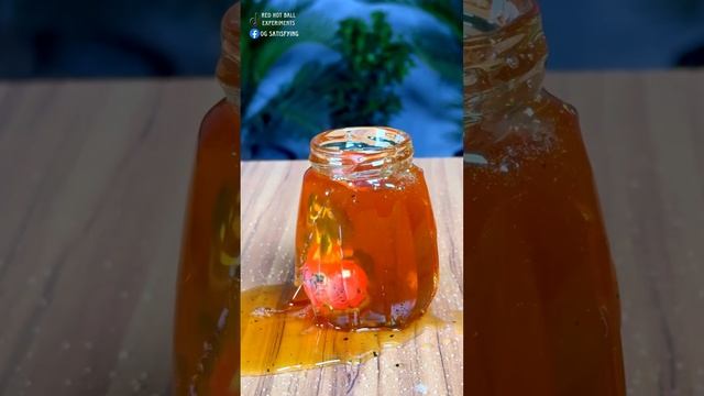 Experiment 1000°C RHCBB vs Honey 🍯 😱#satisfying #asmrsounds #experiment #science #rhcb #honey