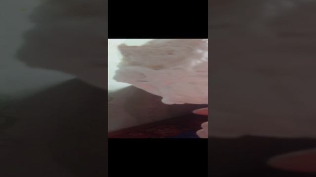 VID_20241016_130137.mp4