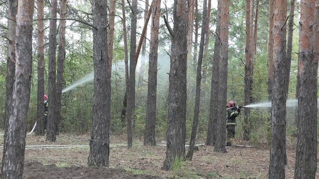 Пожарно-тактические учения в Тюменском районе