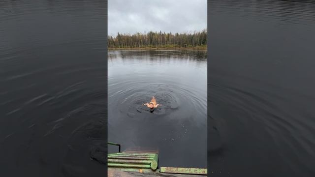 ОКТЯБРЬ. Я КУПАЮСЬ) Да и вообще обливание холодной водой на ежедневной основе, стало моей рутиной.