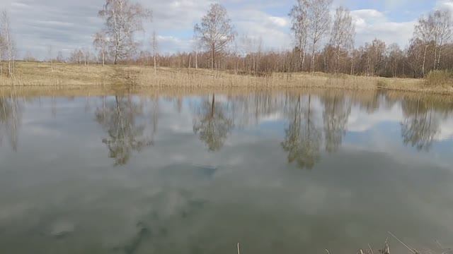 Поездка в Глебово.