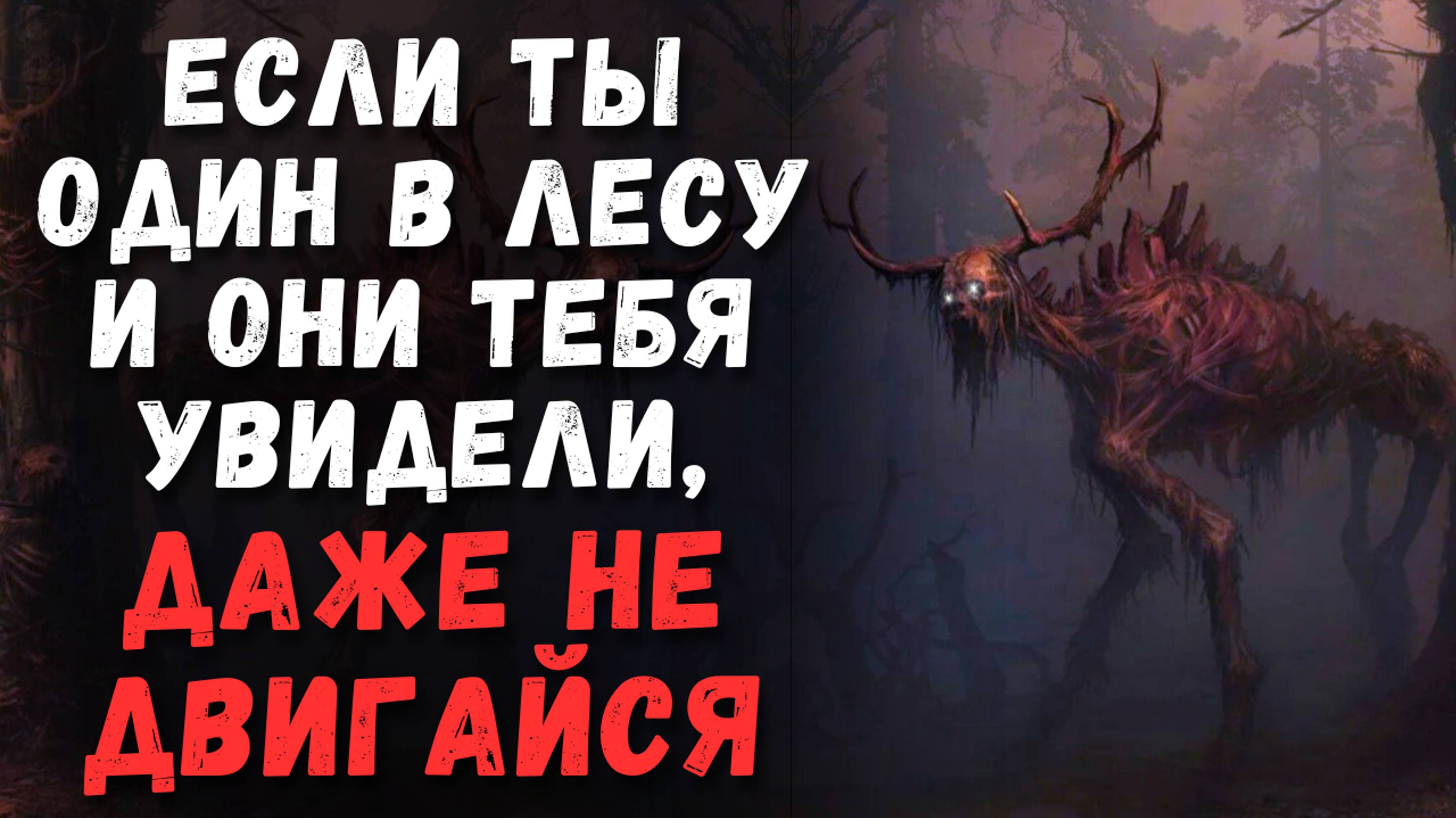 Если Ты Один в Лесу и Тебя Увидели, Даже не Двигайся...