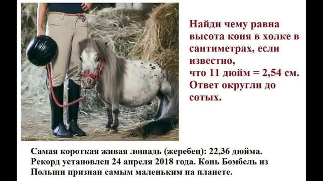 ТОП 10 рекордов Гиннесса