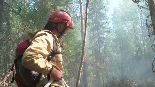 В Коми вспыхнул один из самых поздних лесных пожаров