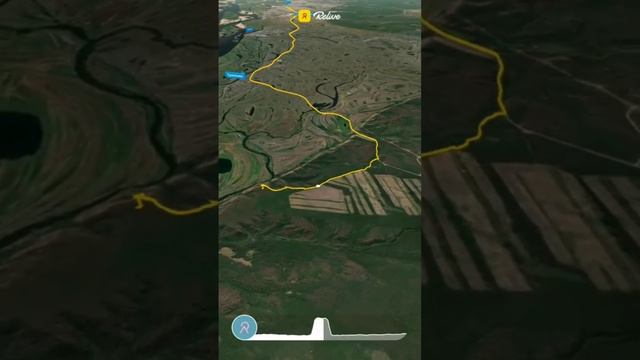 8.09.2024 Таинственный лес