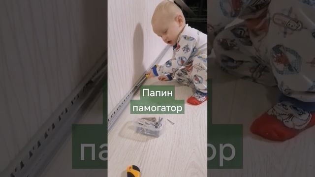 Папин помагатор