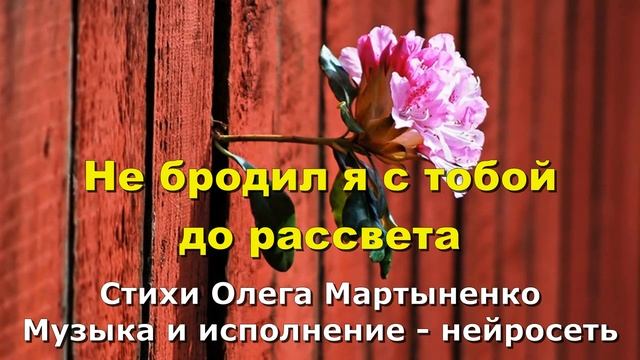 Не бродил я с тобой до рассвета