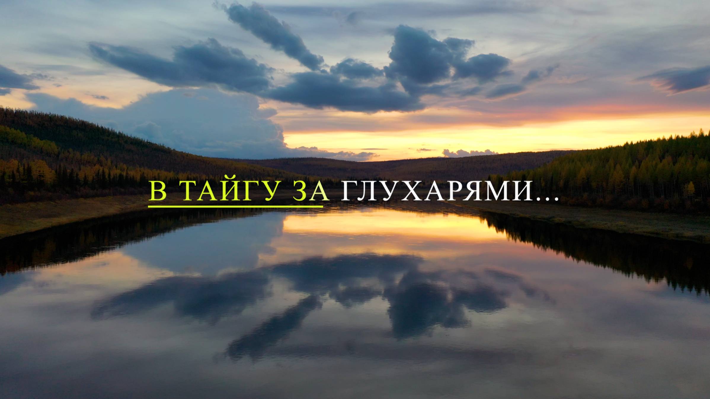 В ТАЙГУ ЗА ГЛУХАРЯМИ