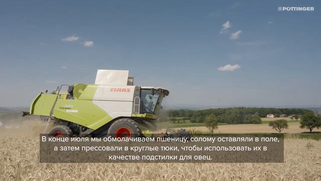 Всемирный_день_хлеба_2024_Австрия_