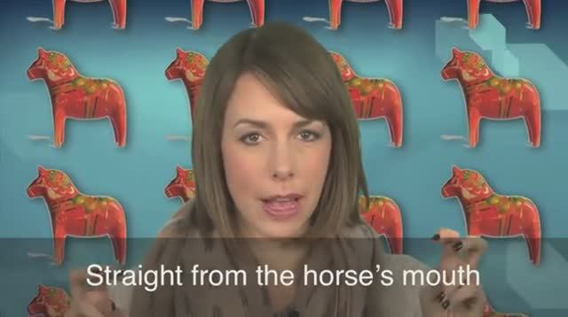 straight from the horse's mouth