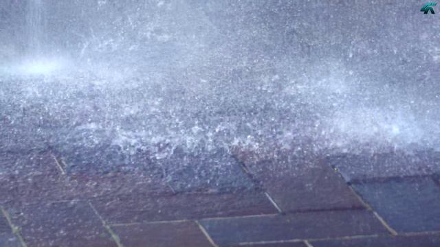 Во время дождя