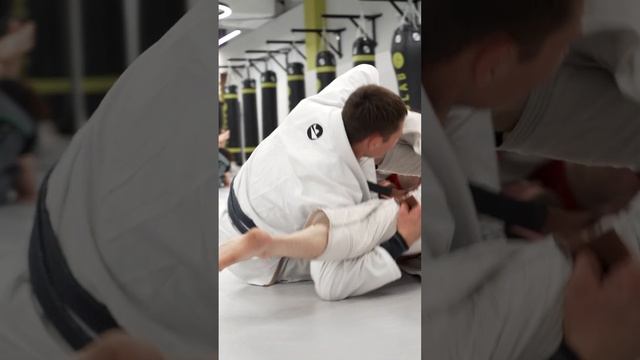 Джиу-Джитсу (BJJ) в школе единоборств JIULAB