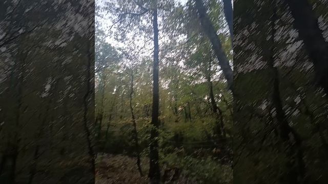 1000335789.mp4