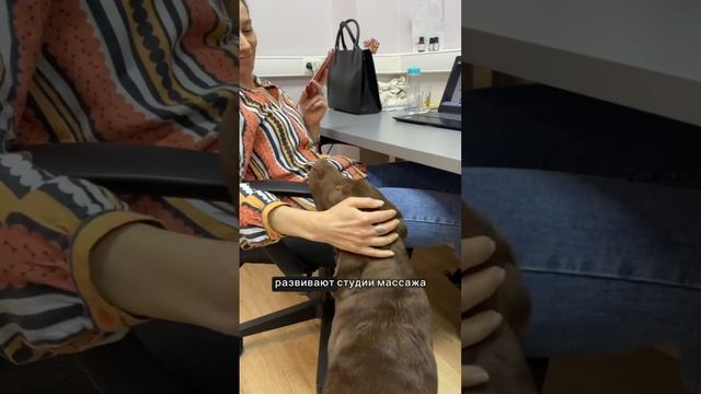 К нам в гости приходил маленький друг! 😍