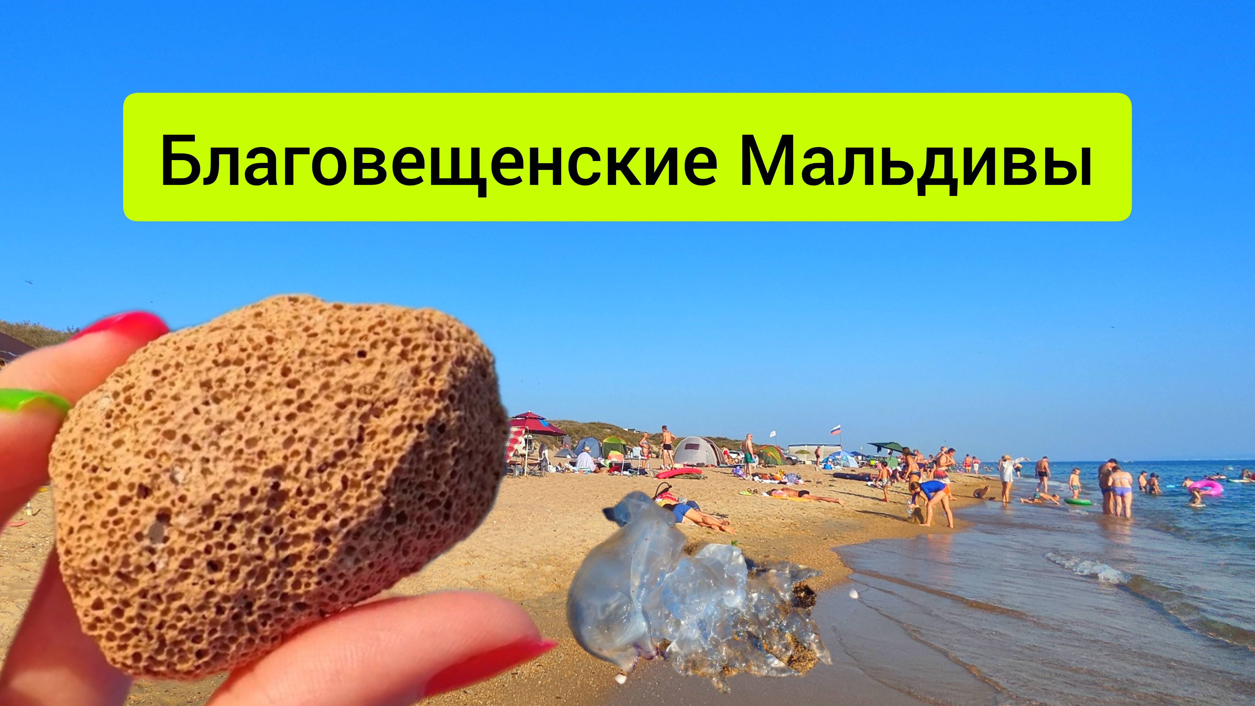 #123 станица Благовещенская осень на юге #анапа #морскаяцаревна #sumkiberry #пойдемсомной