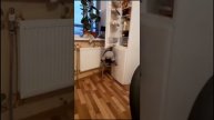 Почему дети начинают ругаться матом