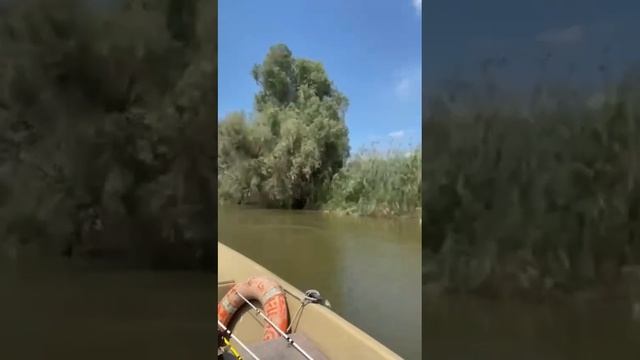 Благодать