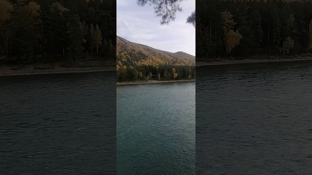 Смотровая площадка. Парк Рериха. Бирюзовая Катунь #алтай #горныйалтай #горы #катунь
