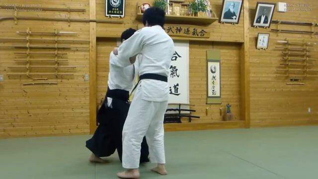 & Aikido&Jiu-Jitsu&Ninja techniques