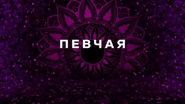 ПЕВЧАЯ - Молодэя