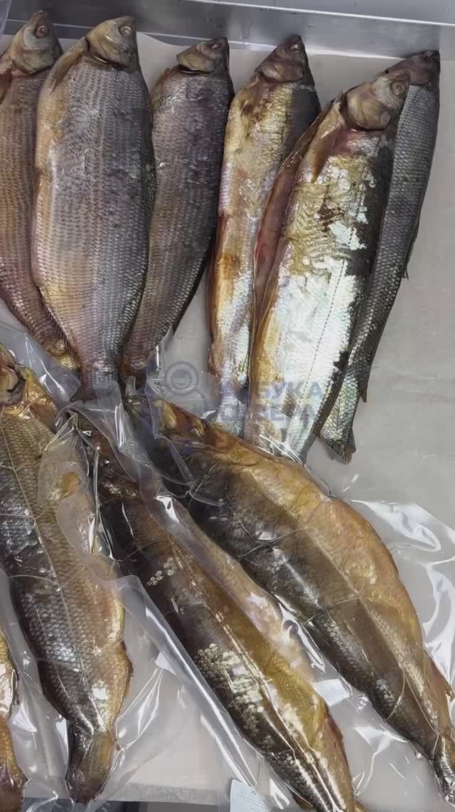 Шикарный выход из цеха 👍🐟