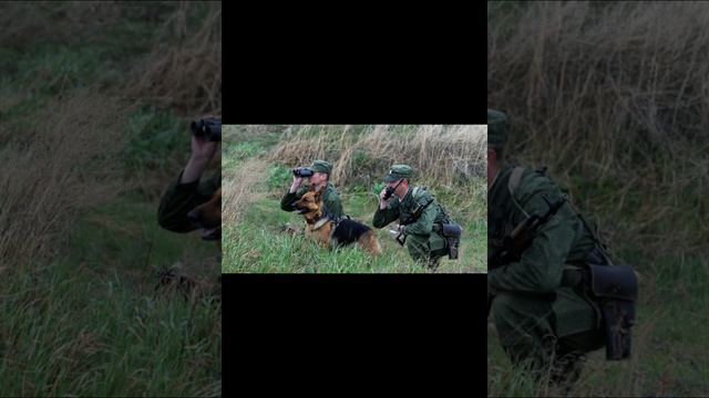 Мы-пограничники