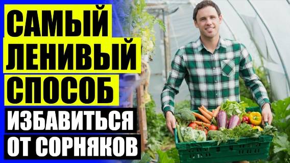 🔥 Уничтожение сорняков на газоне 🔔 Средство от сорняков купить в казани