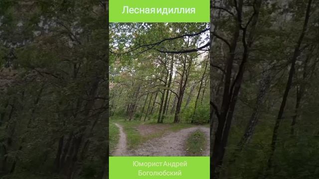 Лесная идиллия фотосессией 📸🌳👍