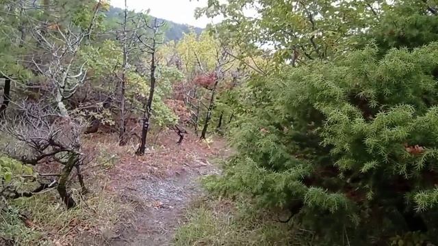 На Черном море прекрасный отдых