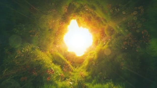 Terra Psychedelica