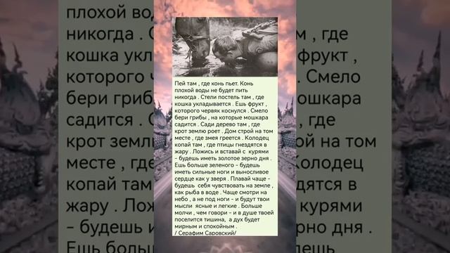 Мудрость