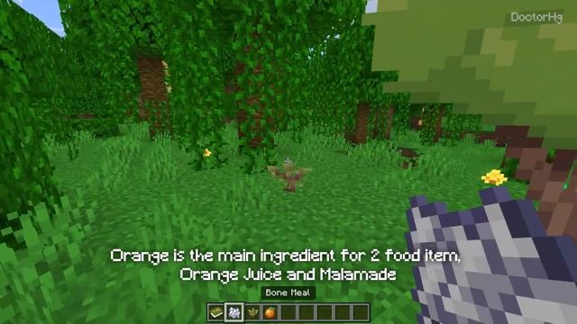 Enhance Your Minecraft Farming Experience: New Crops, Mobs, and More! | Farming Add-on Showcase