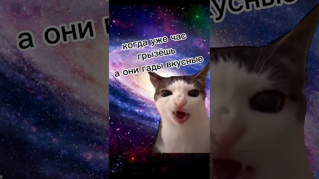 29 декабря 2023 г.