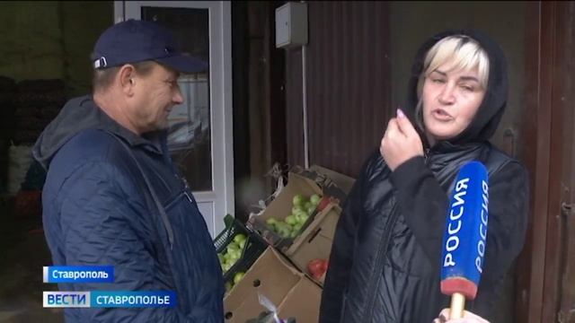 Урожай картофеля на Ставрополье в этом году подкачал