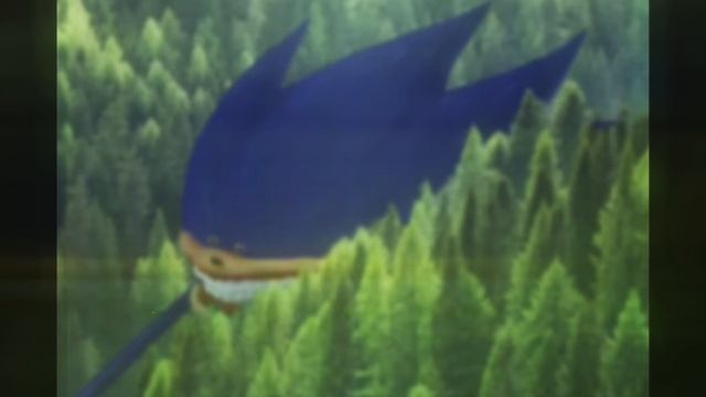 shin sonic edit