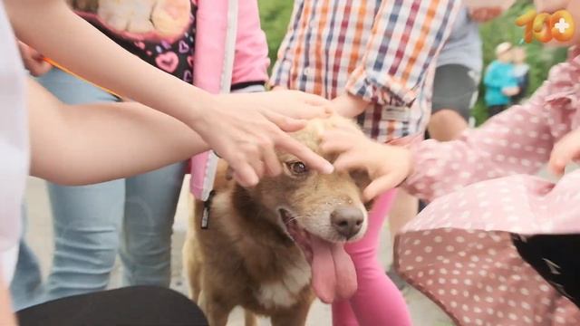 Забываю показать как мы ездили в гости в Школу №7 города Калуги, завтра мы поедем к ребятам снова