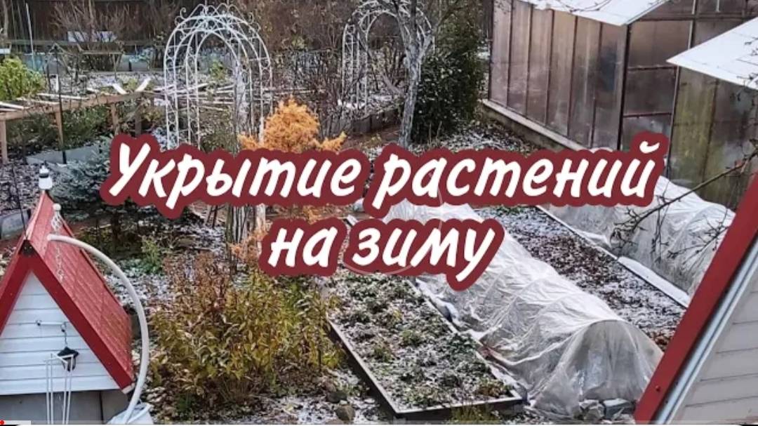 КАРКАСНЫЕ УКРЫТИЯ, ЧТО И ГДЕ МЫ СДЕЛАЛИ . УКРЫТИЕ РАСТЕНИЙ НА ЗИМУ