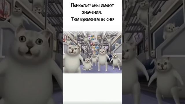 #актив #тренды #рекомендации #глобальныерекомендации #приколы #youtubeshorts #cats