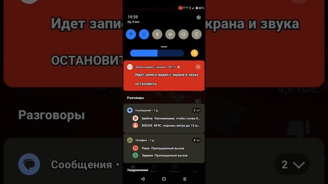 цифровой цирк